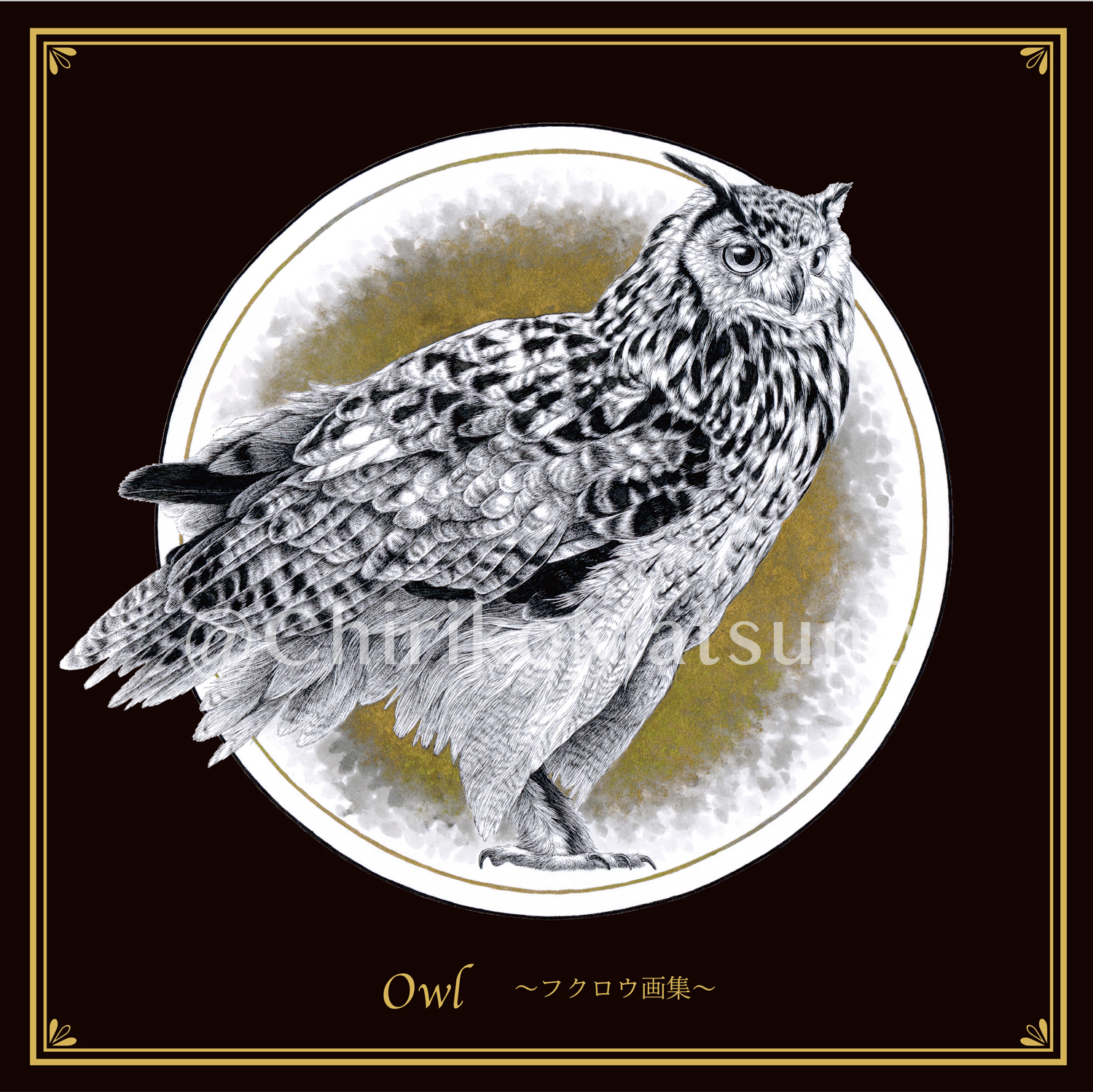 owl_pr06.jpg